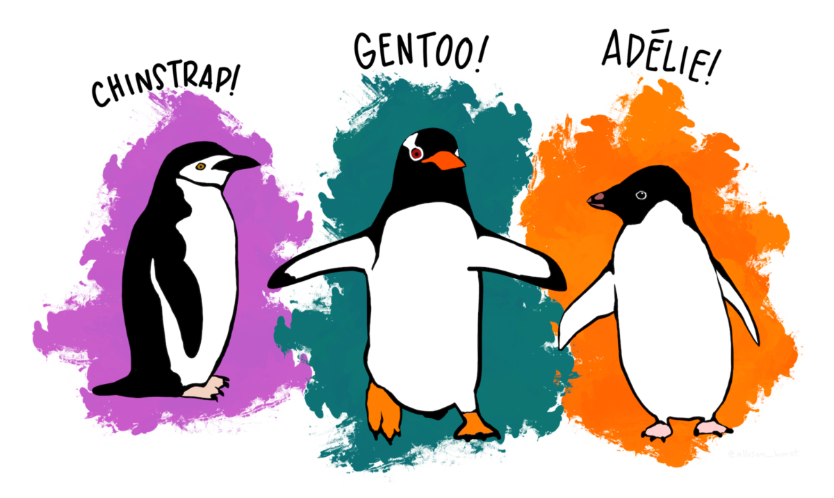 Links: de drie soorten pinguïns, Rechts: afmetingen snavel.